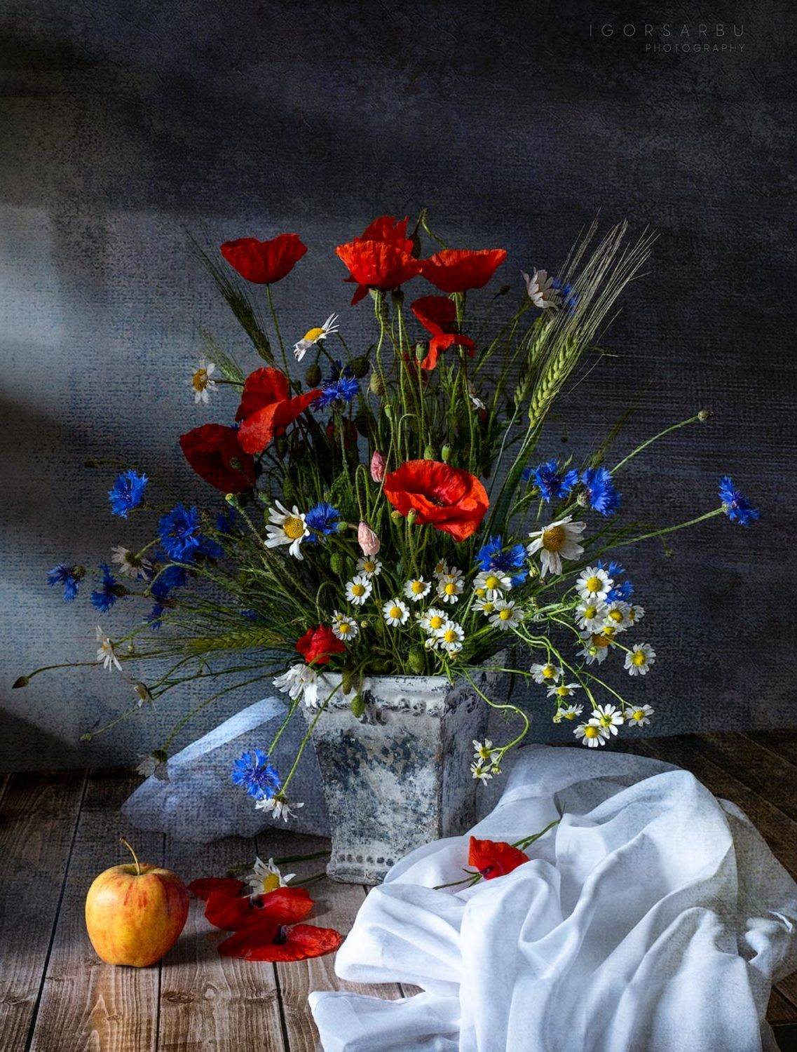 @@@. Автор: Igor Sirbu , Igor Sirbu