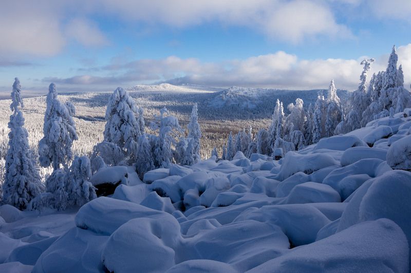 *******photo preview