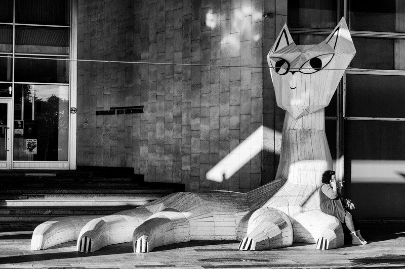 стрит улица чб монохром люди москва музеон Человек и кошкаphoto preview