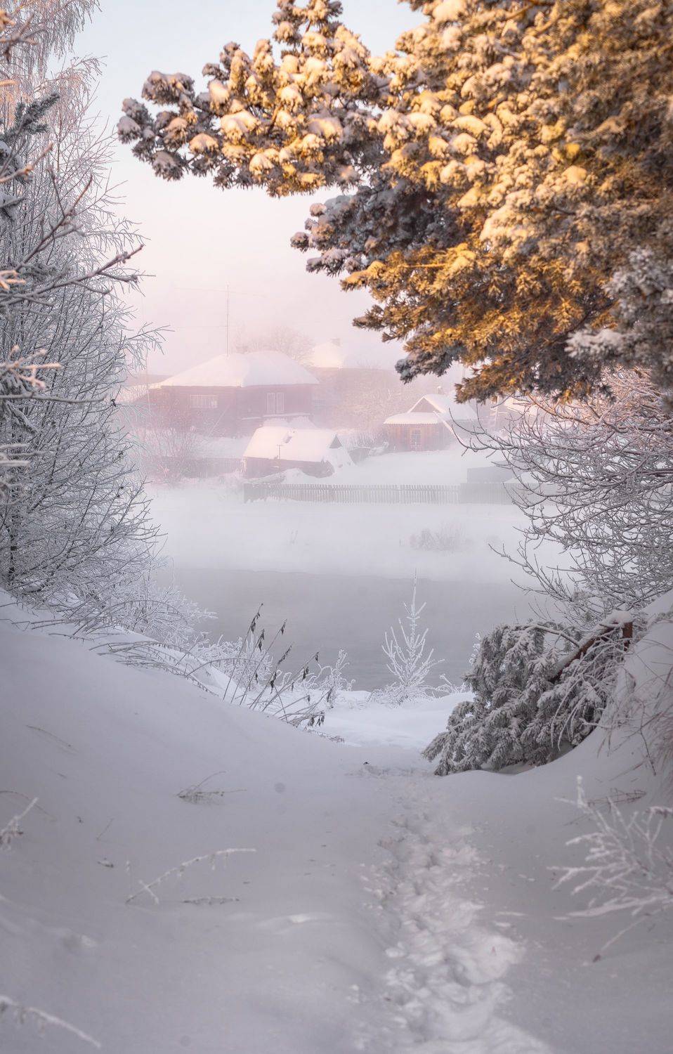 , Шуплецов Алексей