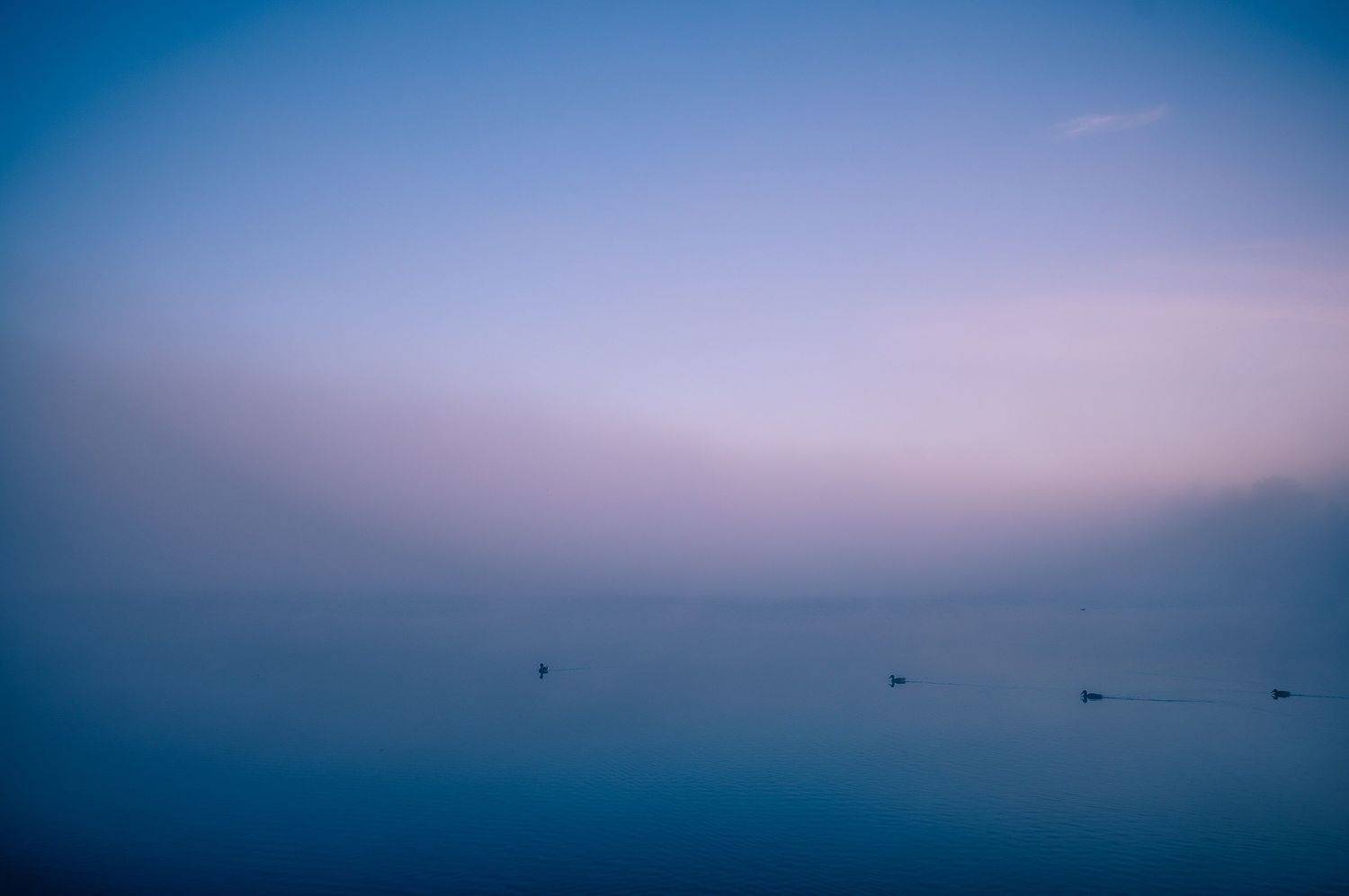 , Лутовкин Артём