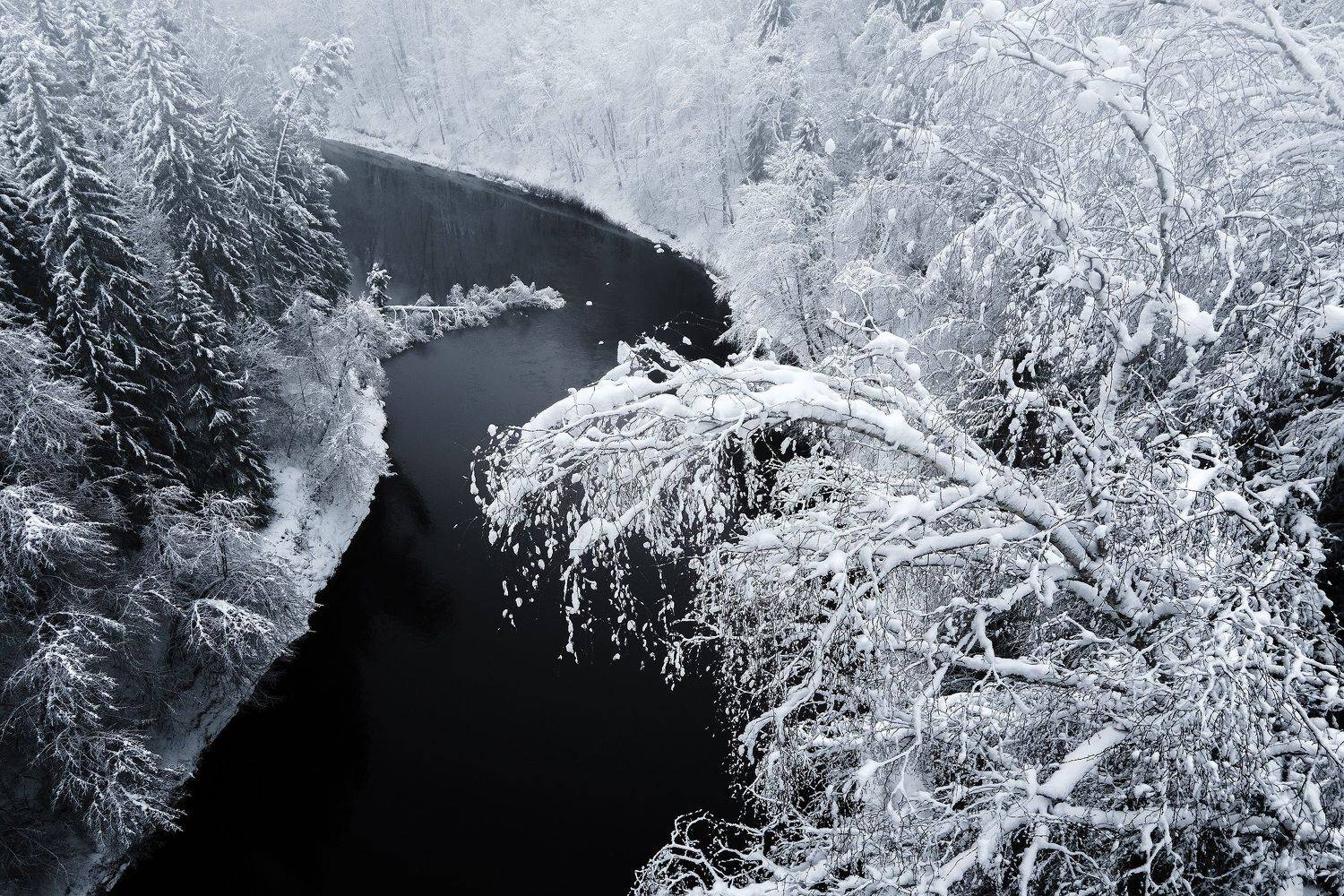 , Лутовкин Артём