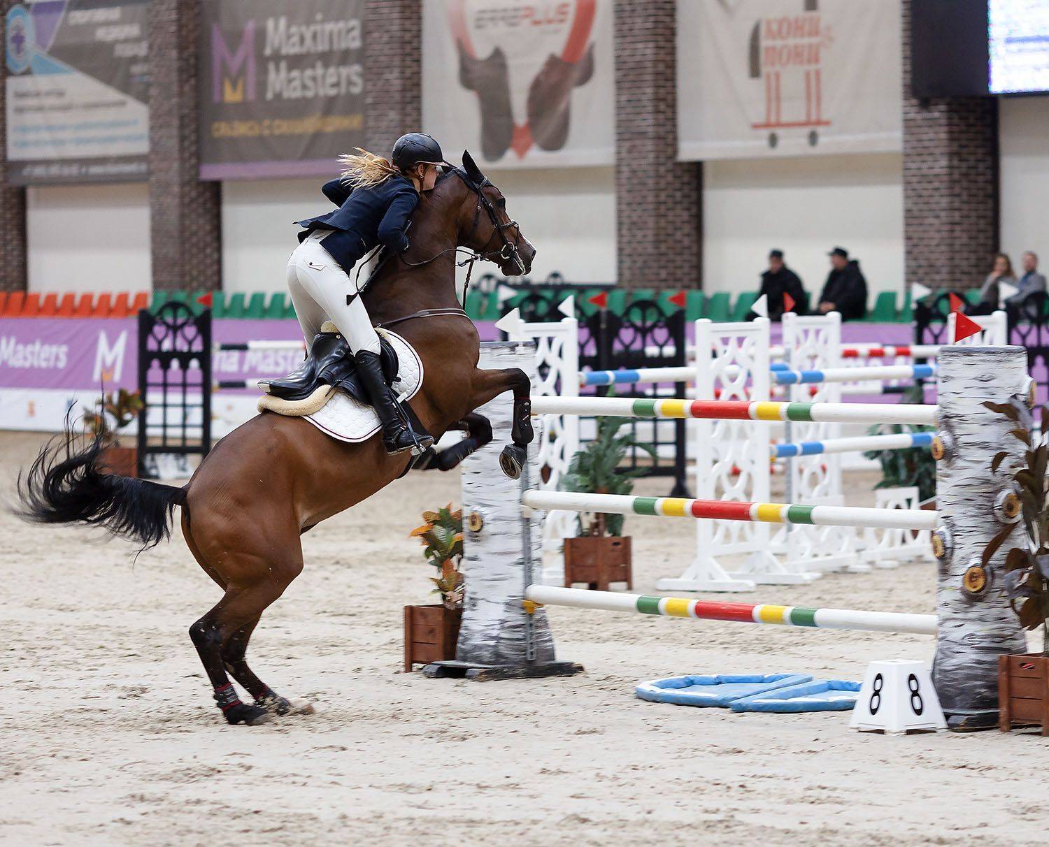 В прыжке. Автор: Стукалова Юлия конкур, спорт, соревнования, sport, competition, horses, jump, Стукалова Юлия