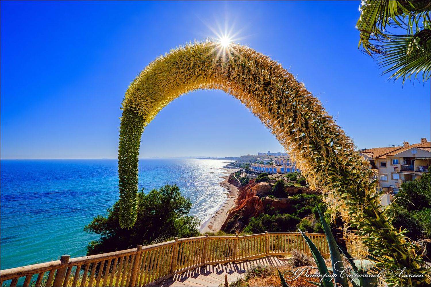 Прекрасный февральский солнечный ясный денёк у моря. Автор: Алексей Строганов испания, пейзаж, море, февраль, путешествие, фотограф в испании, фотограф в торревьеха, landscape, paisaje, mar, fotografo, photographer, spain, costa blanca, коста бланка, кабо роиг, кампоамор, фотообои, Алексей Строганов