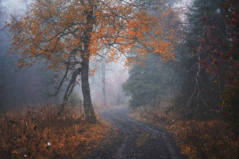 хребет уреньга Дорога На Хребет Уреньга фото превью