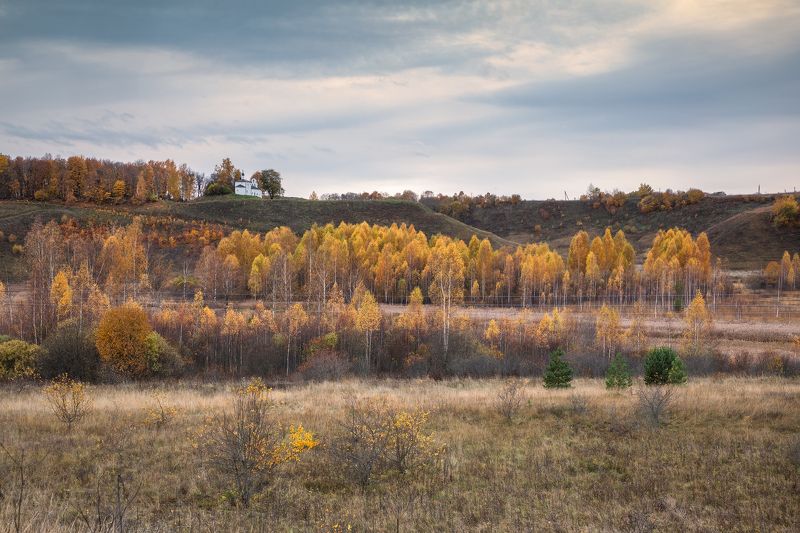 Изборско-Мальская долина. Никольская церковь. фото превью