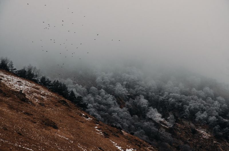 снег, облака, долина, Кавказ, горы, иней В долину пришла зимаphoto preview