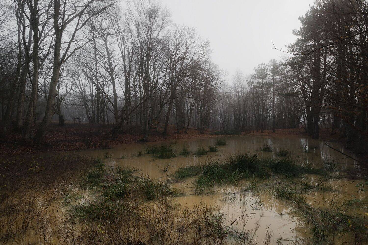 Странная зима. Автор: Черкасов Сергей крым, туман,, Черкасов Сергей