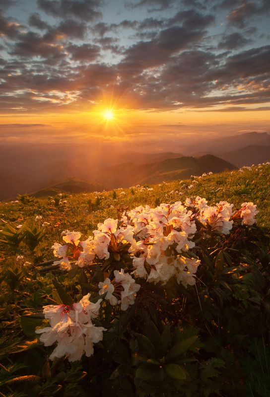 Рассвет на Асбестнойphoto preview