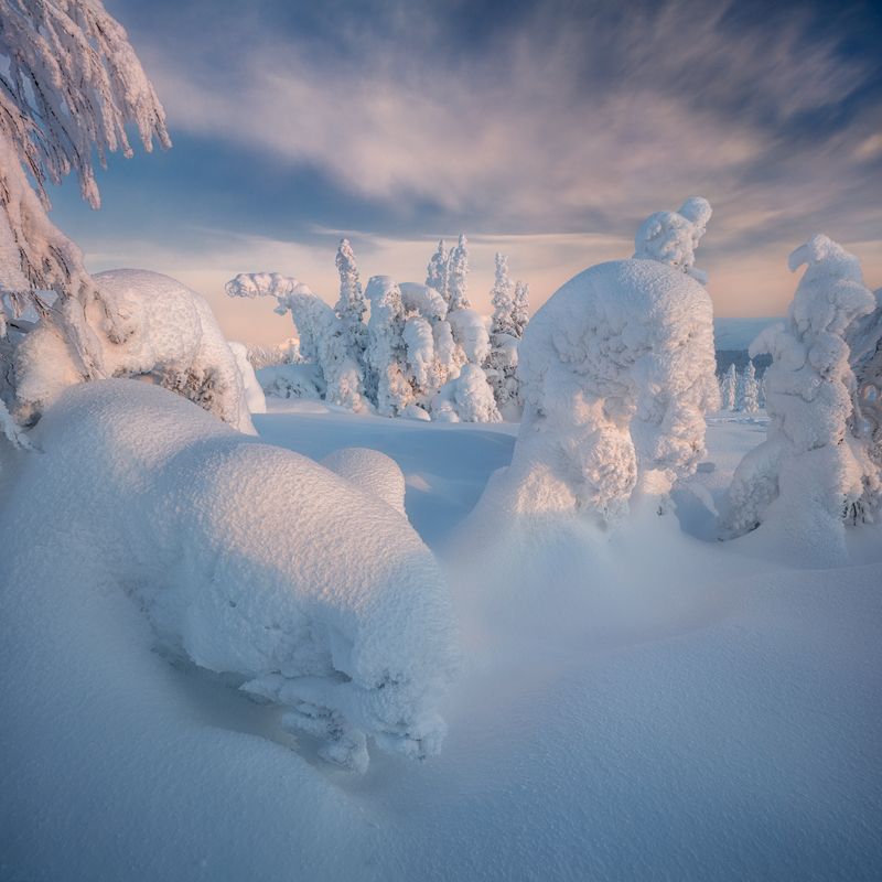 гух ***photo preview