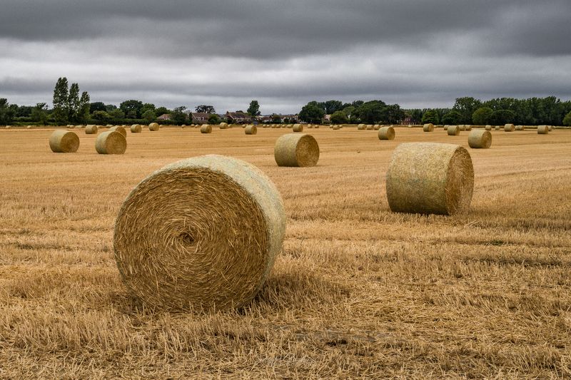 #wheat, #field, #fall, #autumn, #village, #nature, #england Wheat field...photo preview