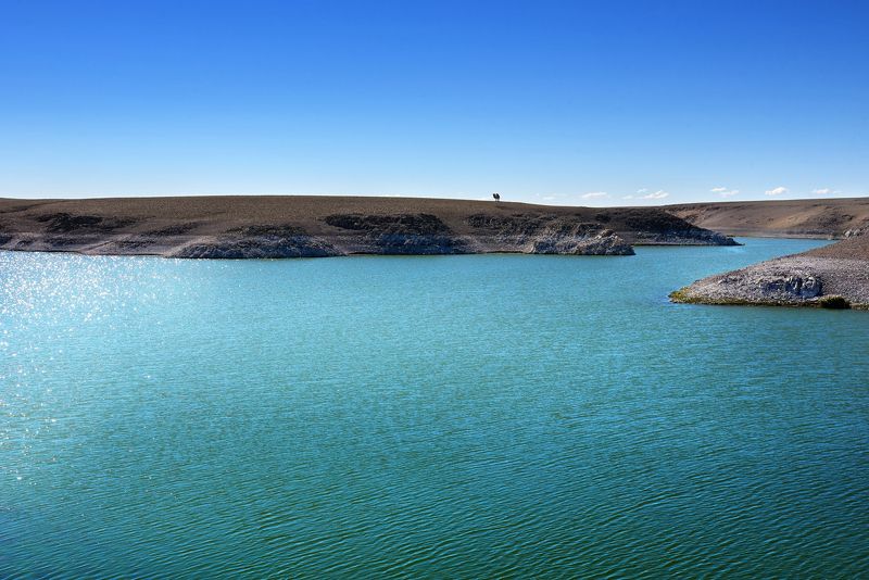 вода небо верблюд Верблюд и водаphoto preview