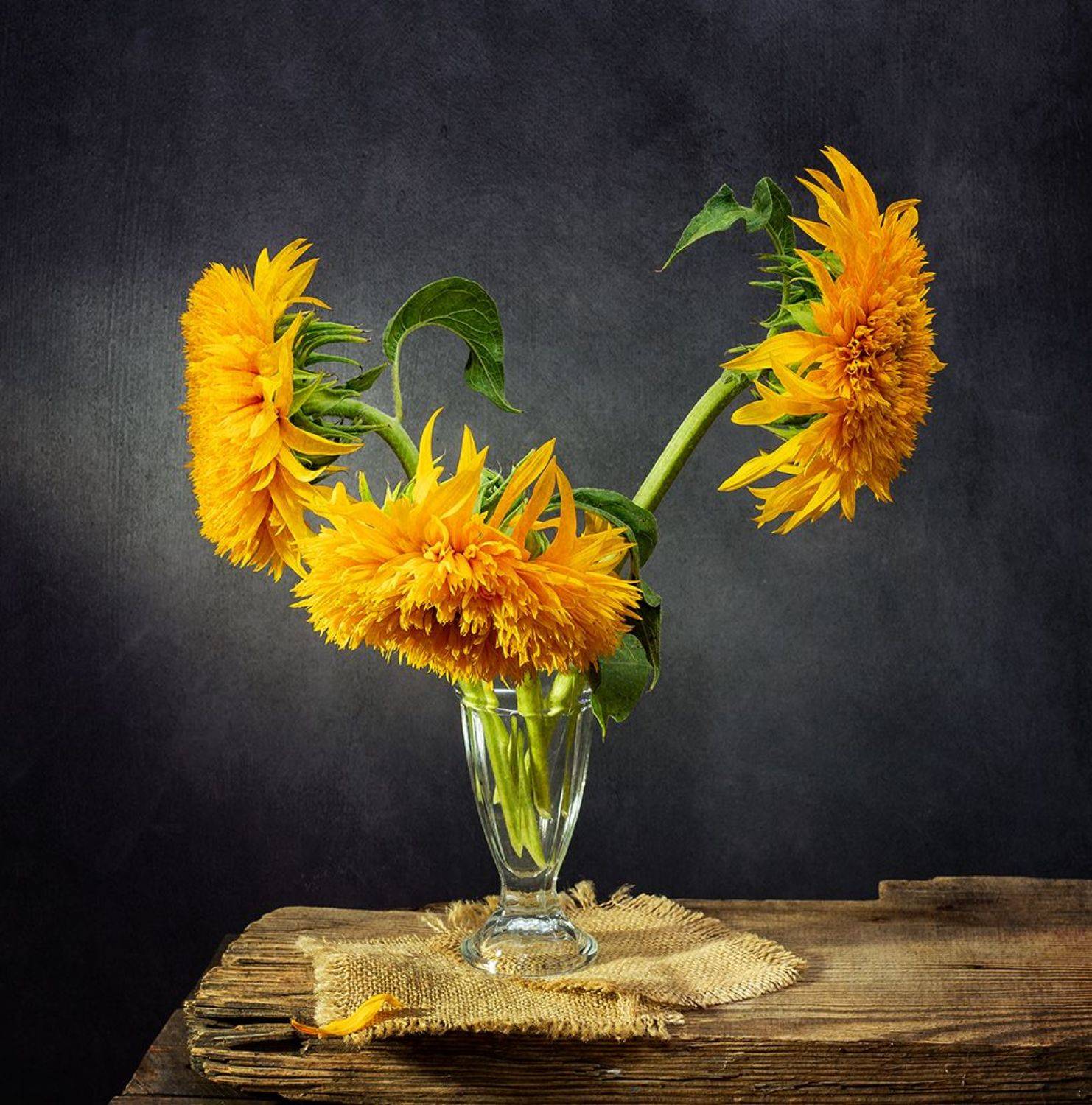 Подсолнухи. Автор: Оля натюрморт, цветы, подсолнухи, Оля