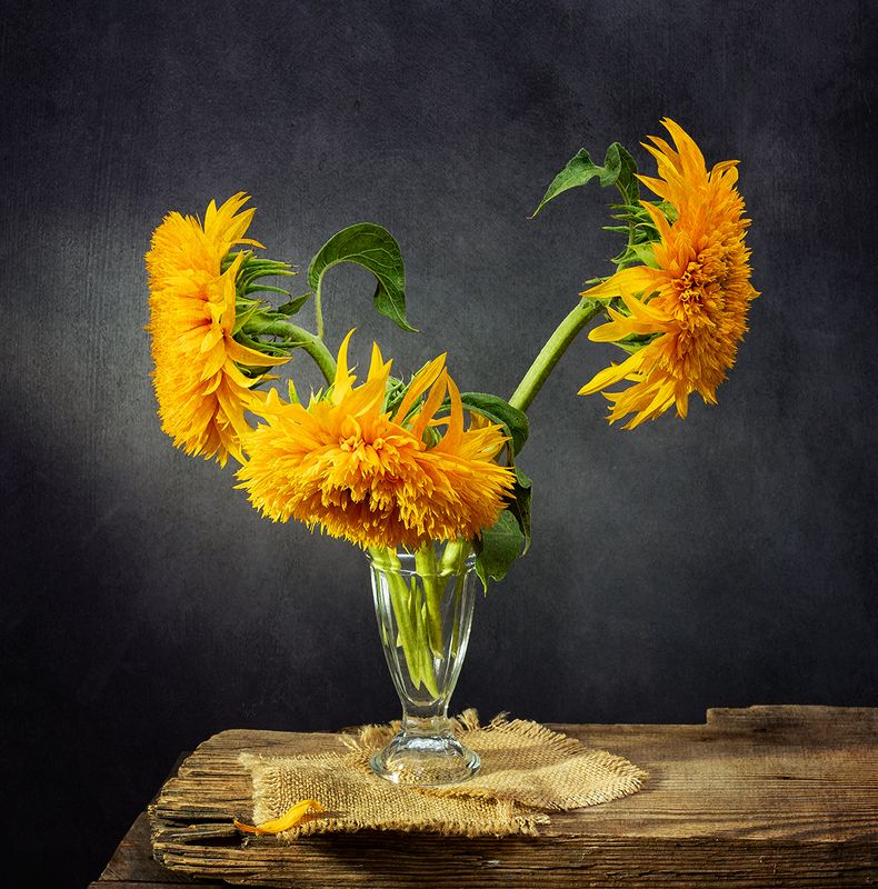 натюрморт, цветы, подсолнухи Подсолнухиphoto preview