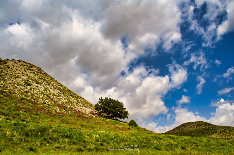 Cloudy Skyphoto preview