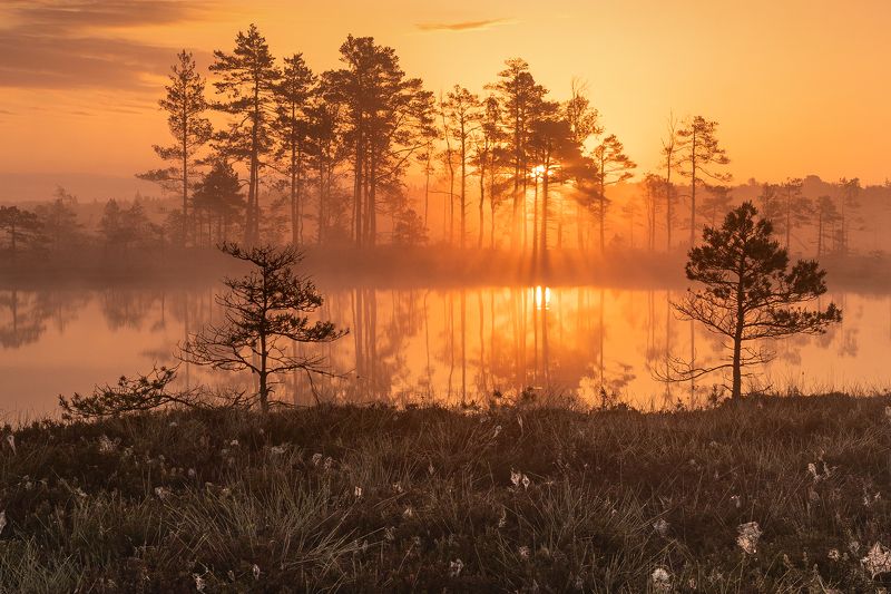 Morningphoto preview