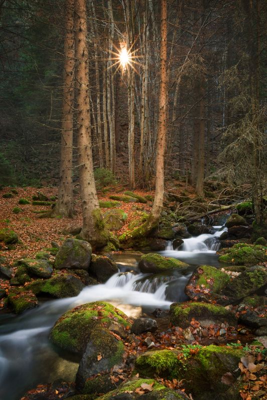 landscape, sunlight, river, narture, mountain, forest, nobody, autumn, fall, season Лучphoto preview