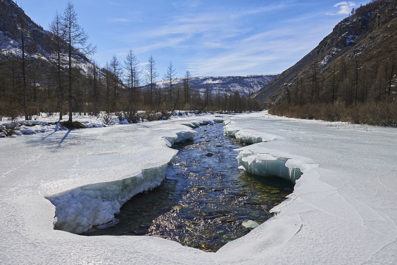 Веснаphoto preview