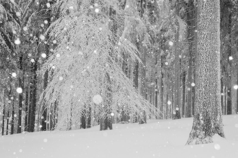 2023 фото превью