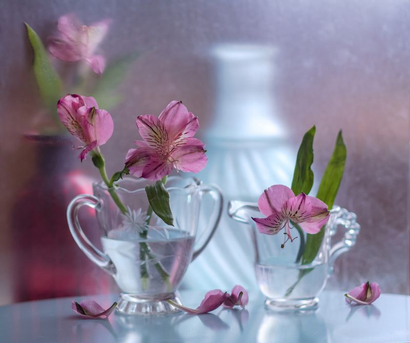 натюрморт,цветы,этюд,вазы,стекло,розовое,лепестки, Падают лепестки...photo preview