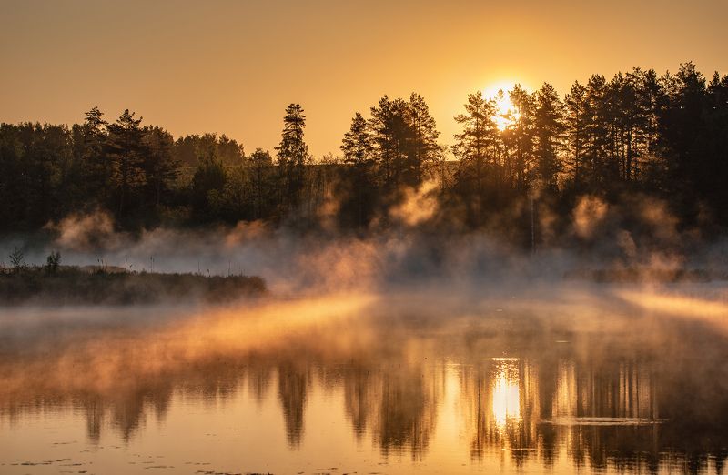 .....................photo preview