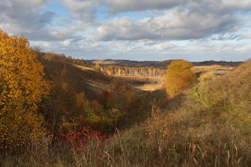 мальская долина, труворово городище. Труворово городище и мальская долина. фото превью