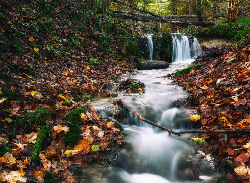 ................photo preview