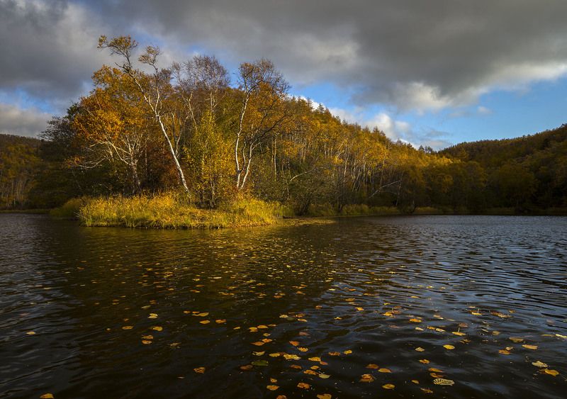 Листья опавшие, листья плывущиеphoto preview