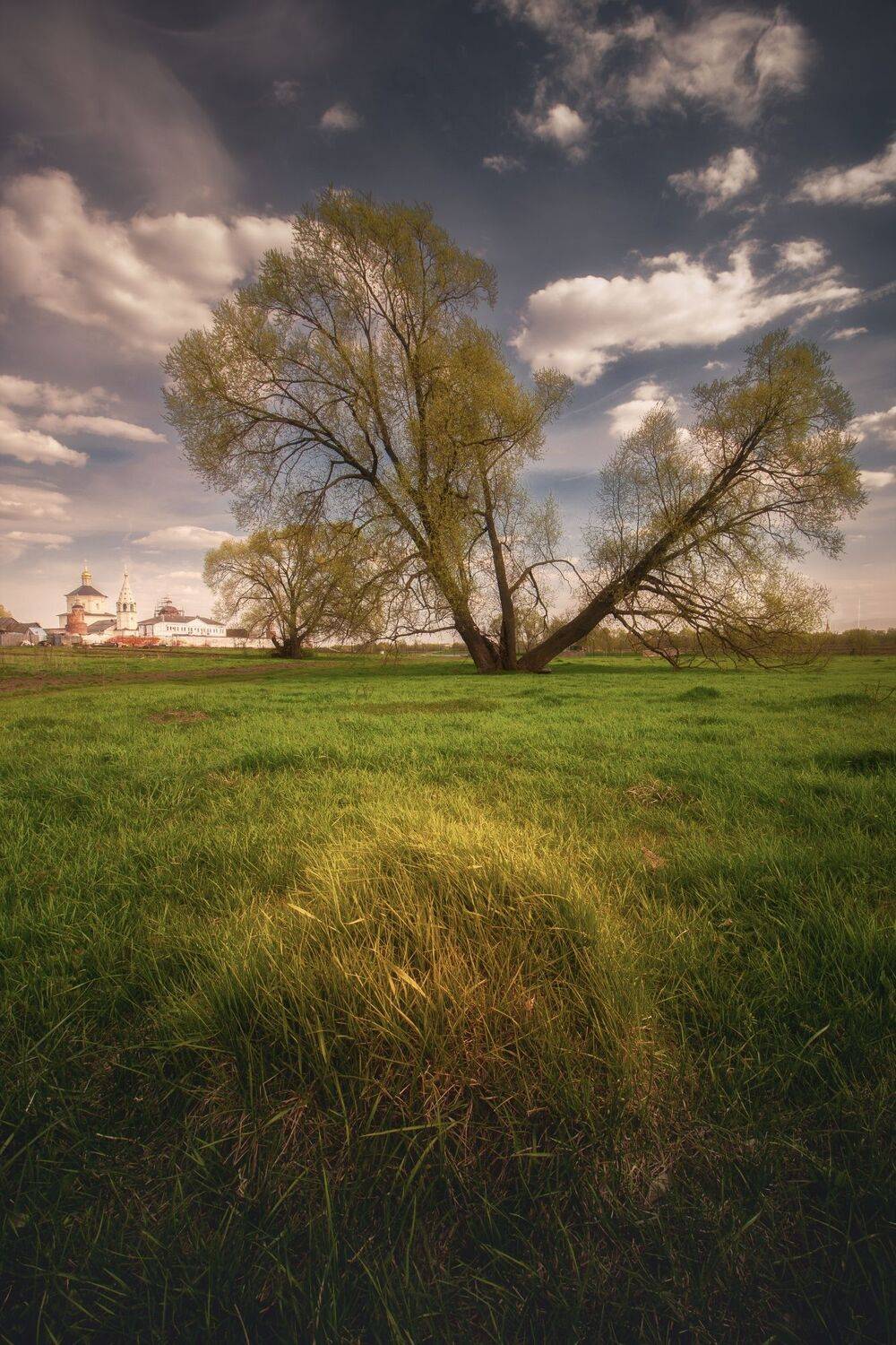 На Бобреневом лугу. Автор: Котов Андрей , Котов Андрей