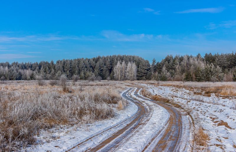 лес, зима, мороз, иней, дорога, природа photo preview