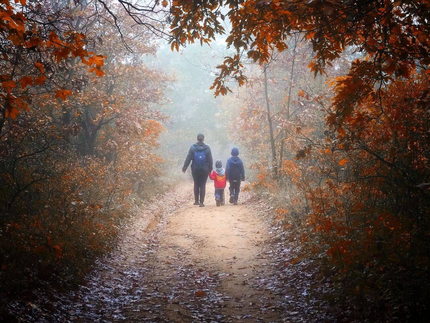 My family. Автор: Adrian Eperjessy , Adrian Eperjessy