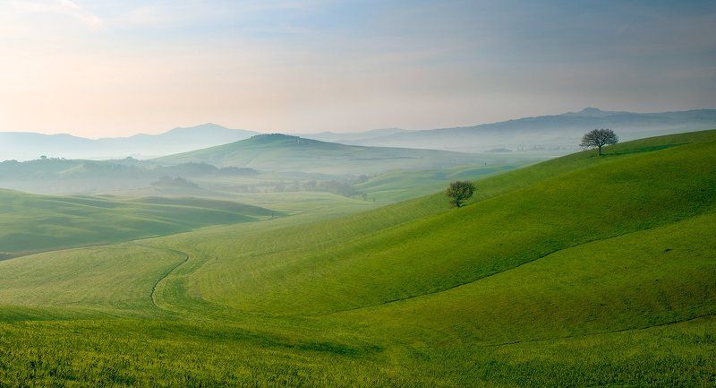 Freedom...photo preview