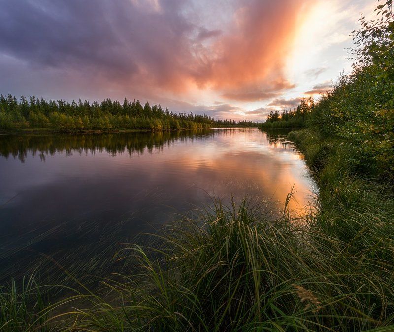 Закат, Лето, Янао Закат на старицеphoto preview