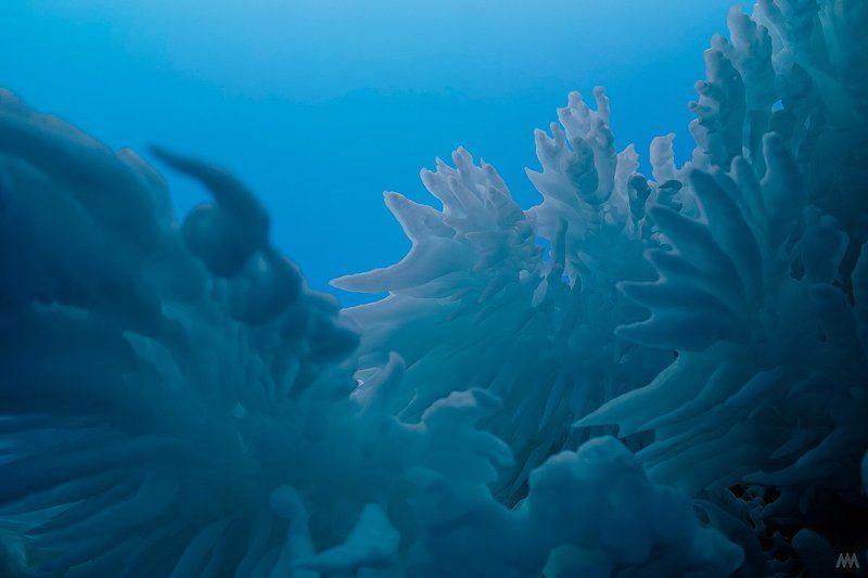 россия, байкал, ольхон, лед, озеро, красота, сибирь, природа, пейзаж Сосульки на Байкале. Фотограф Минковphoto preview