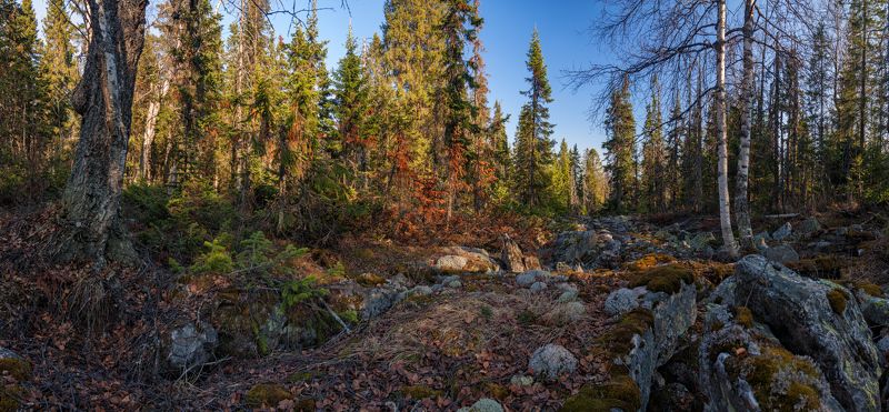 Весна, Камни, Лес, Таганай, Южный урал В гости к лешим да кикиморамphoto preview