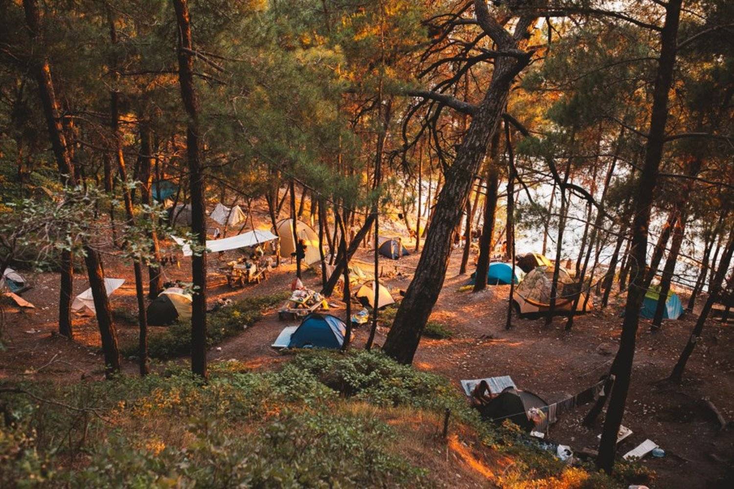 , Сергей Белых