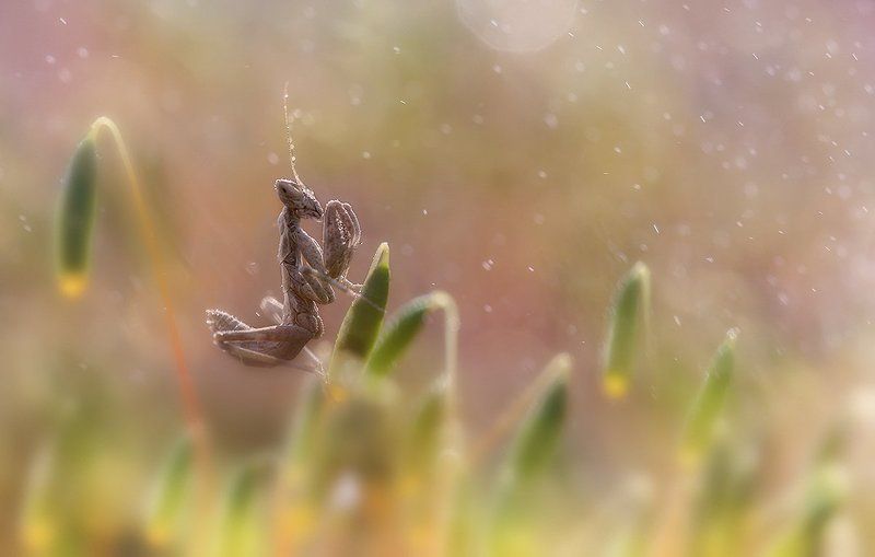 Заблудился.photo preview