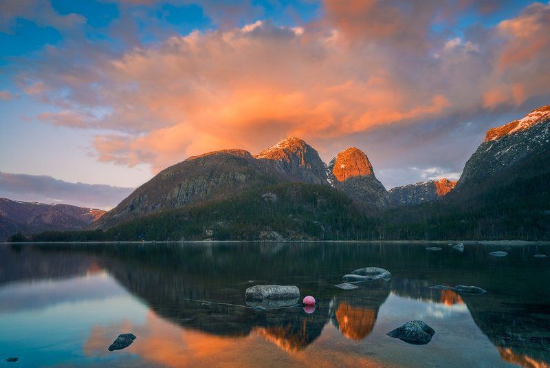 Heiahornetphoto preview