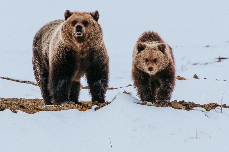 чукотка ***photo preview