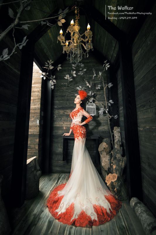 Lady in Redphoto preview