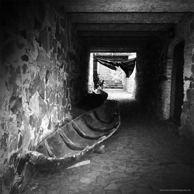 Brain walking...photo preview