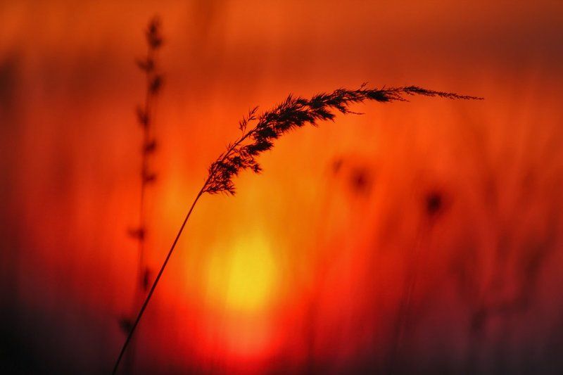 На закате дня.photo preview