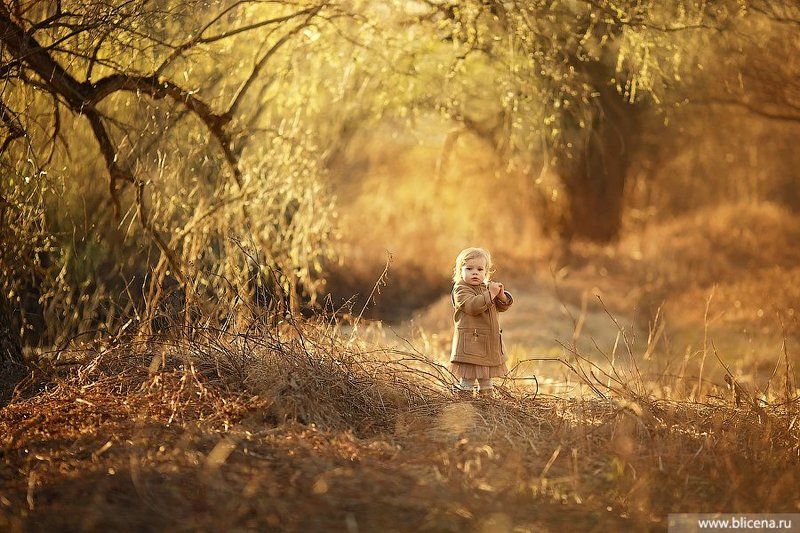 В лучах солнцаphoto preview