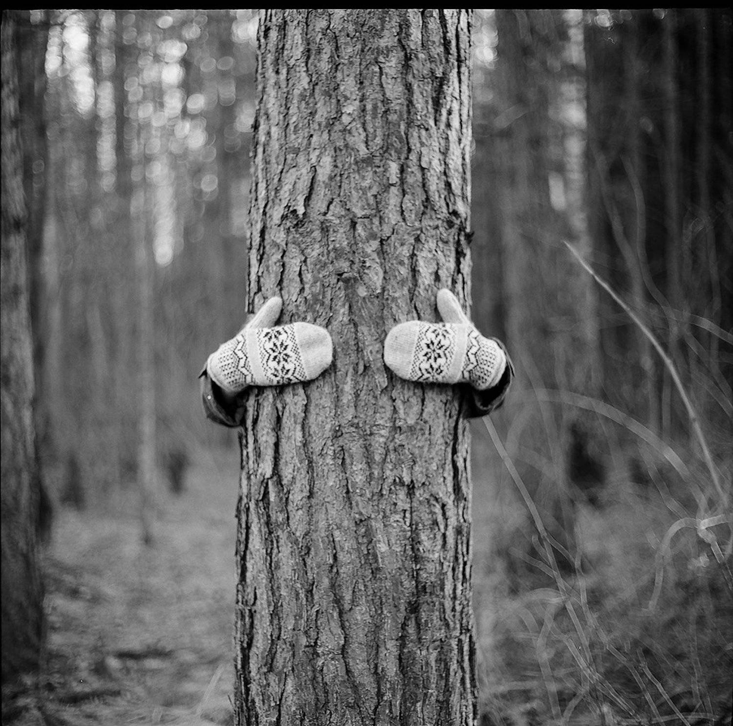 , Ефремов Андрей  МИ₽