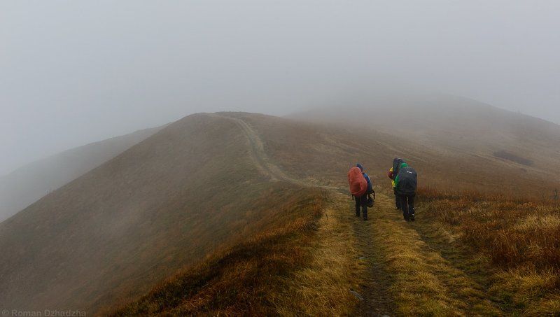 Туман, ветер, моросит, горы, Карпаты, Водораздел Туманный путьphoto preview