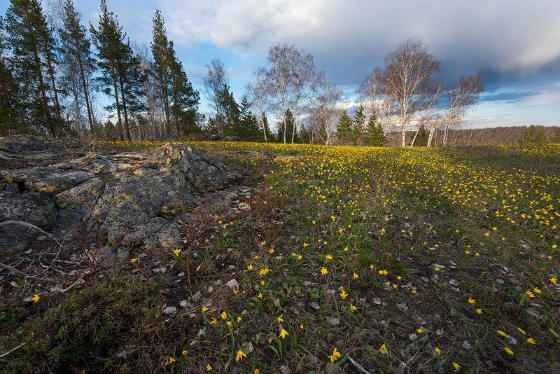 Весенние краскиphoto preview