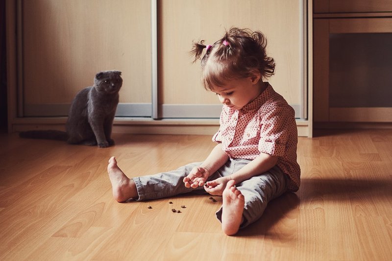 девочка, кошка Вместе с любимой кошкойphoto preview