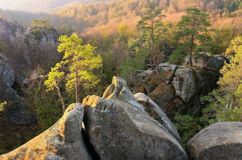 Autumn, Karpaty, Landscape, Mountains, Pine, Rocks, Sunrise, Trees, Ukraine, Восход, Горы, Деревья, Карпаты, Осень, Пейзаж, Скалы, Сосны, Украина photo preview