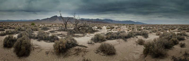 Первые 10 снимков на сайтеphoto preview