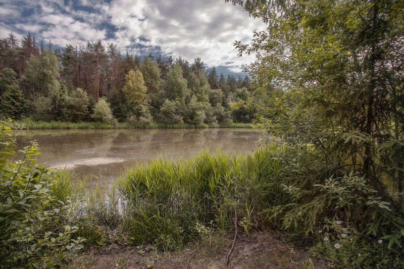 Купавна, озёра, июнь Там, где начиналось летоphoto preview